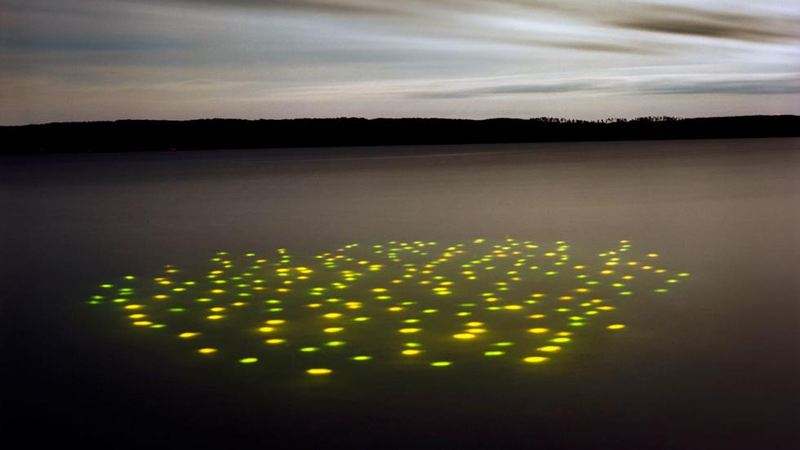 Illustration for article titled What Is The Meaning Of These Strange Glowing Shapes In The Wilderness?